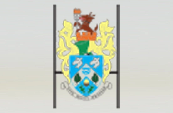 Vectorizing-Service_Before